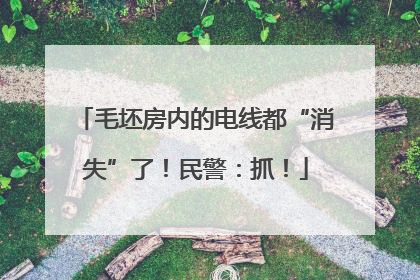 毛坯房内的电线都“消失”了！民警：抓！