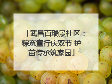 武昌百瑞景社区：粽意童行庆双节 护苗传承筑家园