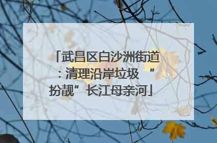 武昌区白沙洲街道：清理沿岸垃圾 “扮靓”长江母亲河