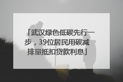 武汉绿色低碳先行一步，39位居民用碳减排量抵扣贷款利息
