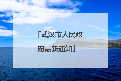 武汉市人民政府最新通知