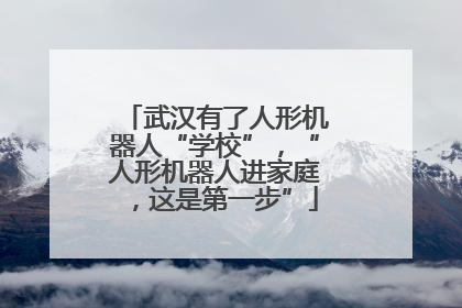 武汉有了人形机器人“学校”，“人形机器人进家庭，这是第一步”