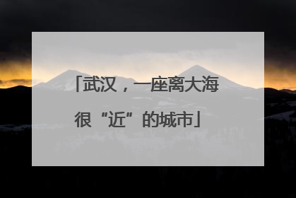 武汉，一座离大海很“近”的城市