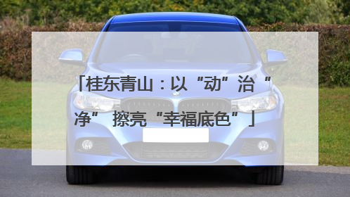 桂东青山：以“动”治“净” 擦亮“幸福底色”