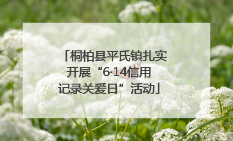 桐柏县平氏镇扎实开展“6·14信用记录关爱日”活动