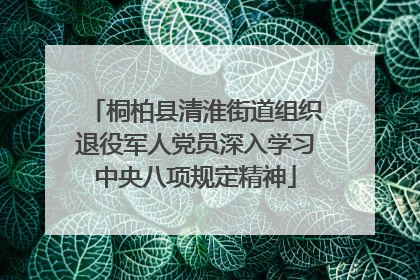 桐柏县清淮街道组织退役军人党员深入学习中央八项规定精神