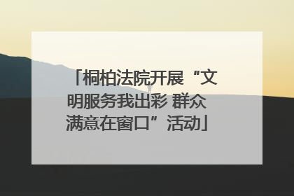 桐柏法院开展“文明服务我出彩 群众满意在窗口”活动