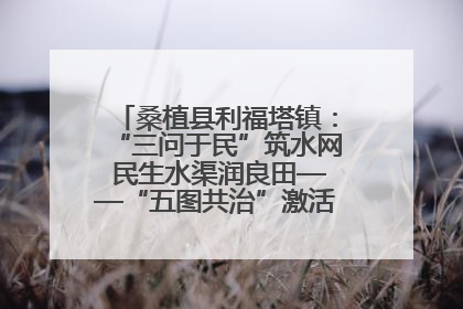 桑植县利福塔镇：“三问于民”筑水网 民生水渠润良田——“五图共治”激活基层治理新动能