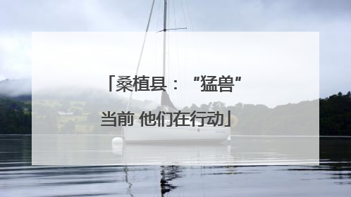 桑植县：“猛兽”当前 他们在行动