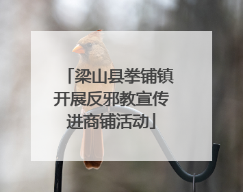 梁山县拳铺镇开展反邪教宣传进商铺活动