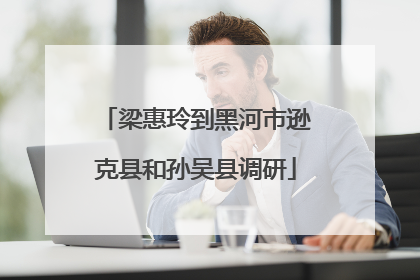 梁惠玲到黑河市逊克县和孙吴县调研