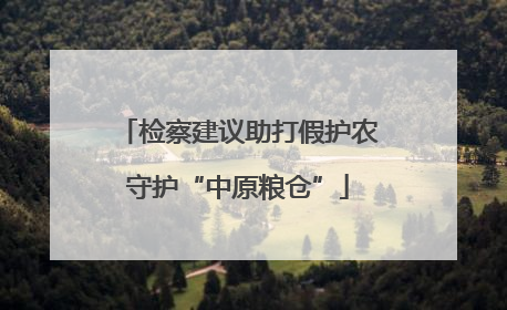 检察建议助打假护农守护“中原粮仓”