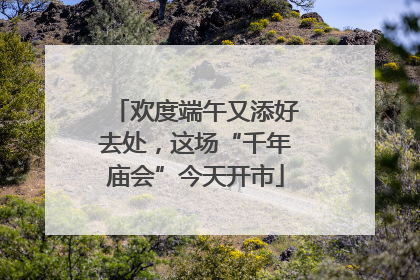 欢度端午又添好去处，这场“千年庙会”今天开市