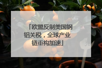 欧盟反制美国钢铝关税，全球产业链重构加速