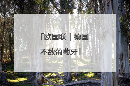 欧国联｜德国不敌葡萄牙