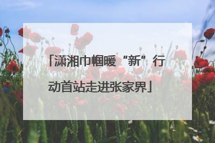 潇湘巾帼暖“新”行动首站走进张家界