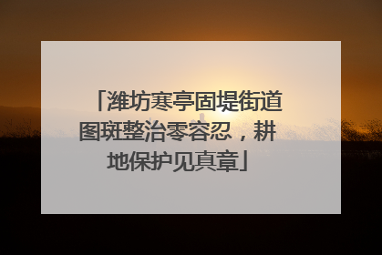潍坊寒亭固堤街道图斑整治零容忍，耕地保护见真章