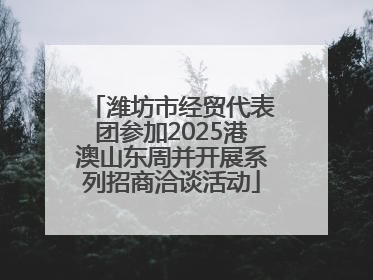 潍坊市经贸代表团参加2025港澳山东周并开展系列招商洽谈活动