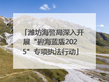 潍坊海警局深入开展“碧海蓝盾2025”专项执法行动