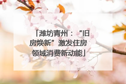 潍坊青州：“旧房焕新”激发住房领域消费新动能