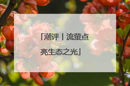 潮评丨流萤点亮生态之光