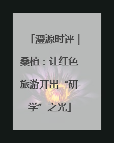 澧源时评｜桑植：让红色旅游开出“研学”之光