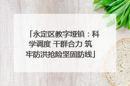 永定区教字垭镇：科学调度 干群合力 筑牢防洪抢险坚固防线