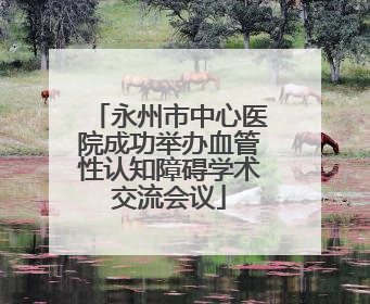 永州市中心医院成功举办血管性认知障碍学术交流会议