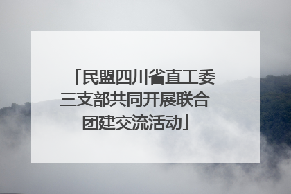 民盟四川省直工委三支部共同开展联合团建交流活动