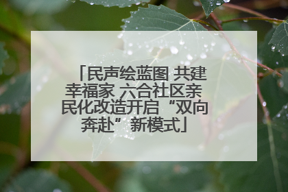 民声绘蓝图 共建幸福家 六合社区亲民化改造开启“双向奔赴”新模式