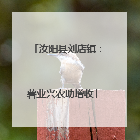汝阳县刘店镇：薯业兴农助增收