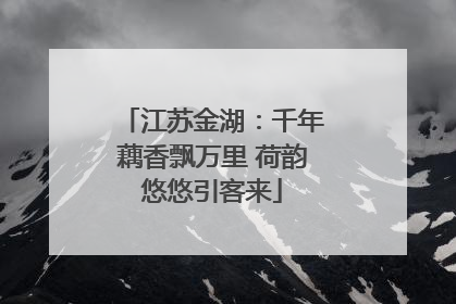 江苏金湖：千年藕香飘万里 荷韵悠悠引客来