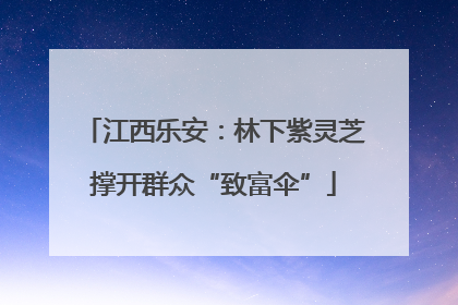 江西乐安：林下紫灵芝撑开群众“致富伞”