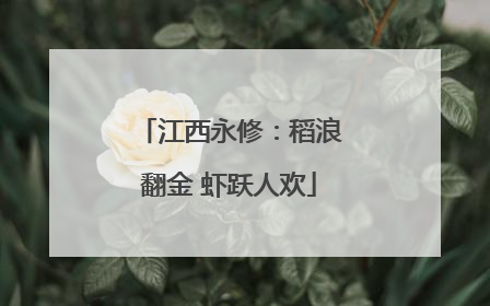 江西永修：稻浪翻金 虾跃人欢