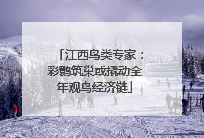 江西鸟类专家：彩鹮筑巢或撬动全年观鸟经济链