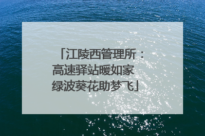 江陵西管理所：高速驿站暖如家 绿波葵花助梦飞