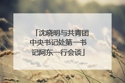 沈晓明与共青团中央书记处第一书记阿东一行会谈