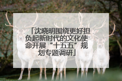 沈晓明围绕更好担负起新时代的文化使命开展“十五五”规划专题调研