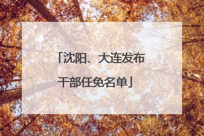 沈阳、大连发布干部任免名单