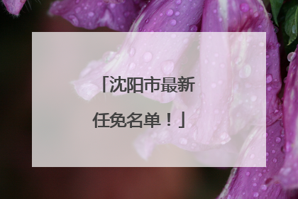 沈阳市最新任免名单！