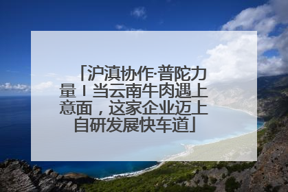 沪滇协作·普陀力量〡当云南牛肉遇上意面，这家企业迈上自研发展快车道