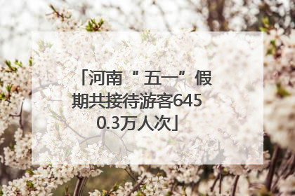 河南“ 五一”假期共接待游客6450.3万人次