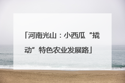 河南光山：小西瓜“撬动”特色农业发展路