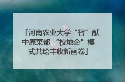 河南农业大学“智”献中原菜都 “校地企”模式共绘丰收新画卷