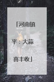 河南镇平：大蒜喜丰收