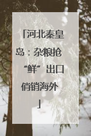 河北秦皇岛：杂粮抢“鲜”出口 俏销海外