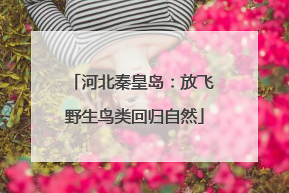 河北秦皇岛：放飞野生鸟类回归自然