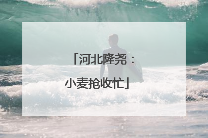 河北隆尧：小麦抢收忙