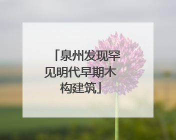 泉州发现罕见明代早期木构建筑