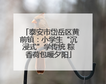 泰安市岱岳区黄前镇：小学生“沉浸式”学传统 粽香荷包暖夕阳